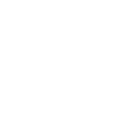 Wingman AI Agents Ltd